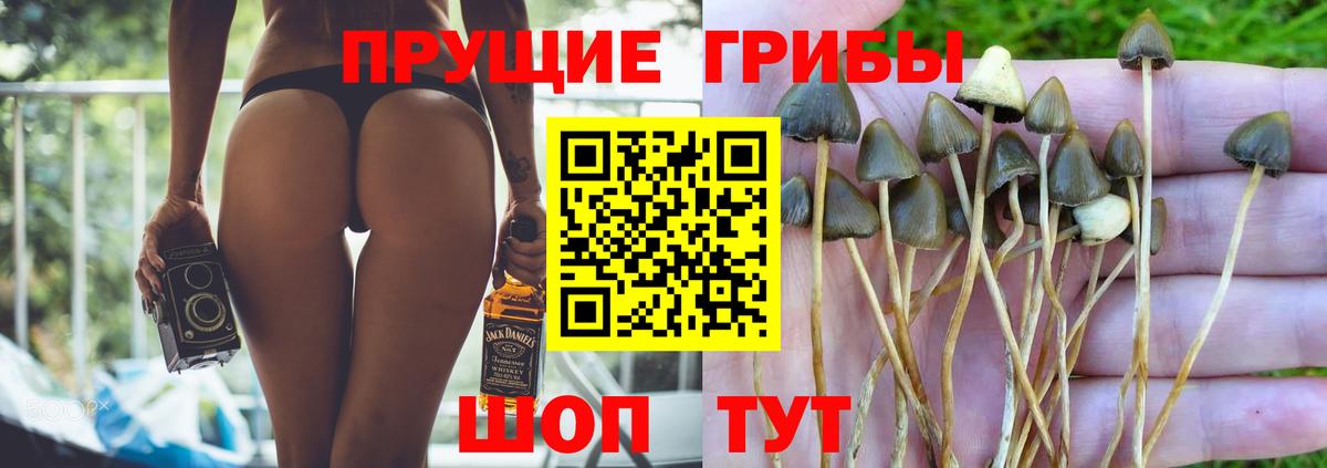 закладка  Вход с VPN  Рассказово  Галлюциногенные грибы мухоморы 